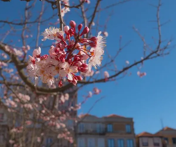 Burgo Republica Apartament Porto